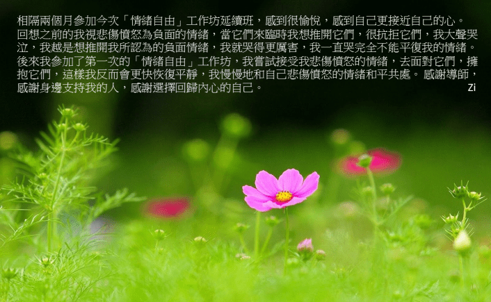 12182729_538664422966331_614183338418850566_o