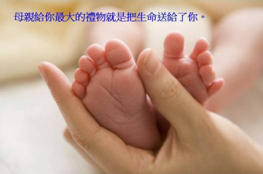 11165304_472527282913379_3137096400811217957_n